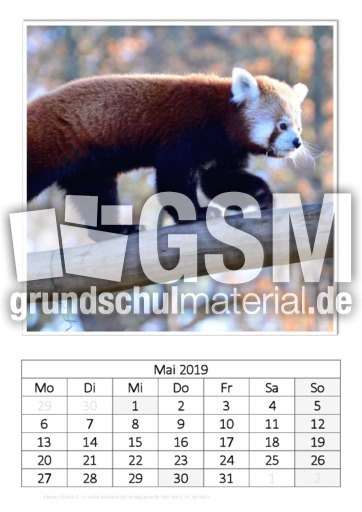 Mai_Kleiner Panda.pdf
